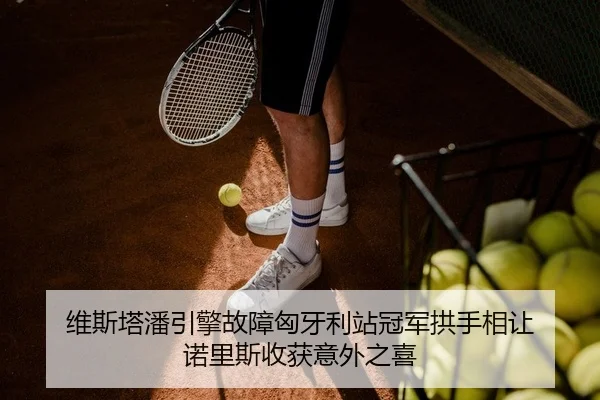 维斯塔潘引擎故障匈牙利站冠军拱手相让 诺里斯收获意外之喜